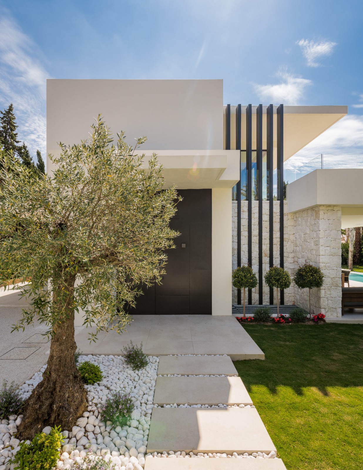 Front entrance composition of VIDA DEL MAR with olive tree, Mediterranean planting and precise architectural lines