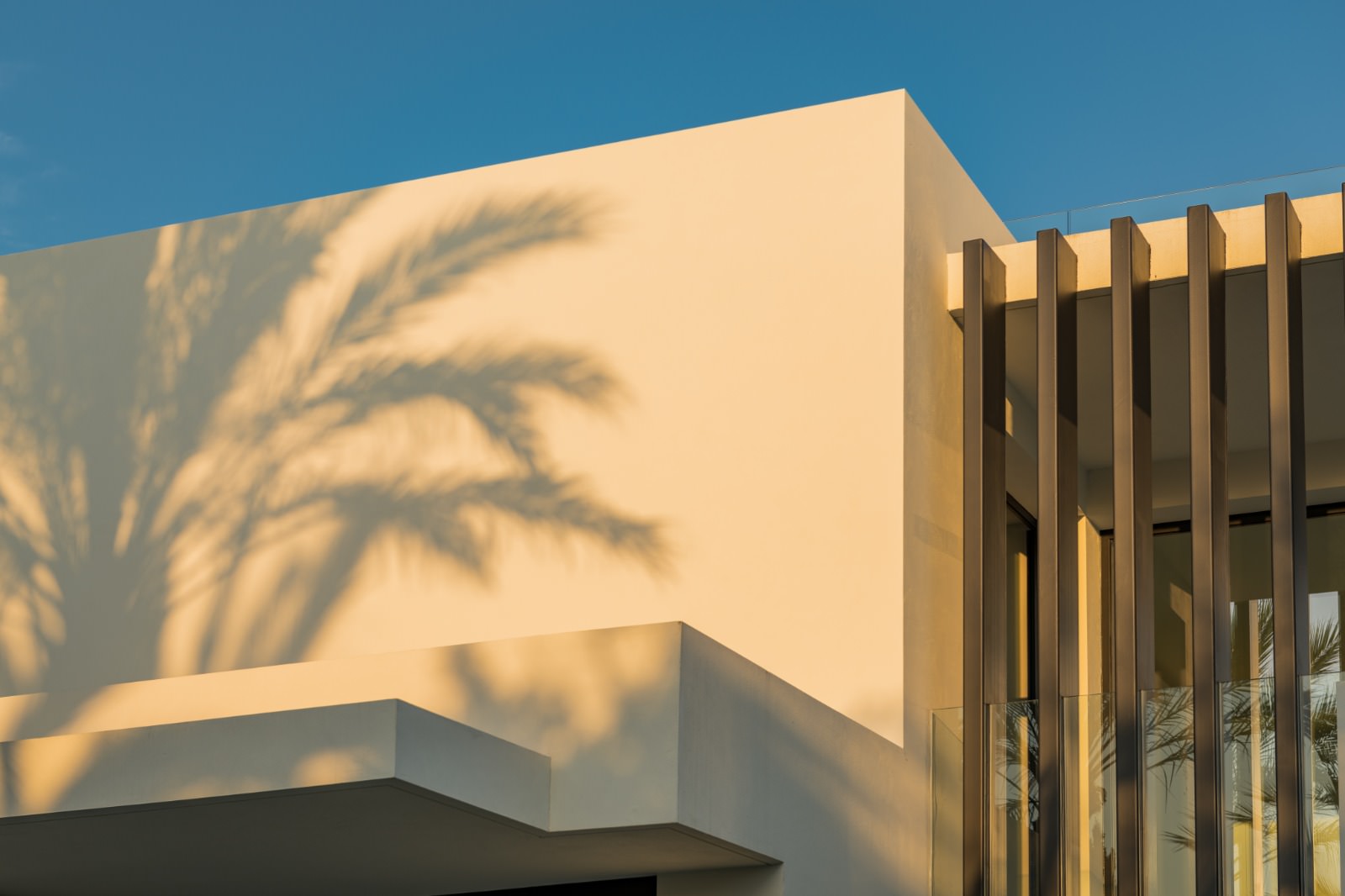 Detail of sunlit facade at VIDA DEL MAR with palm shadow, warm white surfaces and vertical architectural rhythm